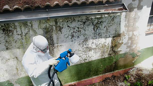 Top rated local Mold Remediation specialists in Salisbury, NC